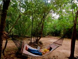 Check spelling or type a new query. How To Become A Travel Writer The Shooting Star