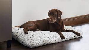We did not find results for: Pet Products Ikea