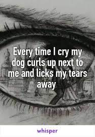 Every Time I Cry My Dog Curls Up Next To Me And Licks My Tears Away
