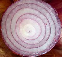 Concentric