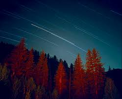 Cash and credit cards are ok. Royaltyfri Coola Bakgrunder Foton Piqsels