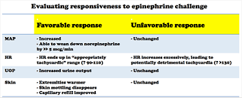 Pulmcrit Epinephrine Challenge In Sepsis An Empiric