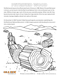 Petrified Wood Coloring Page Printout Forest Coloring Pages Coloring Pages Kids Travel Journal