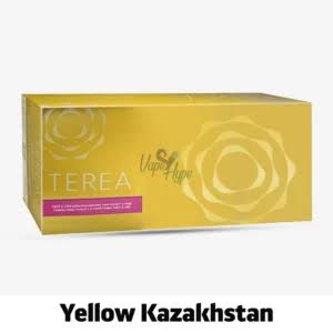 Buy TEREA Kazakhstan Flavors: Fast UAE Delivery