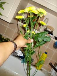 Diy costco wedding flowers | bouquets, boutonnieres, centerpieces, & arch arrangements!if you're new here, hi! Wedding Bouquet Boutonniere 9 Steps With Pictures Instructables