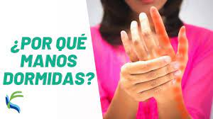 5 Ejercicios Para Manos Dormidas Fisiolution Youtube