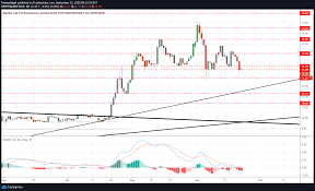 Bitcoin, litecoin, solana price analysis : Top 3 Price Prediction Bitcoin Ethereum Ripple Crypto Market Shrinks While Bitcoin Grows Forex Crunch