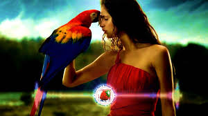 Buddha Luxury Bar 2017 Ibiza Special Winter Collection The Best Of Bud S Izobrazheniyami