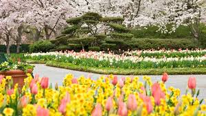 Living Giving And Entertaining With Style And Grace Dallas Arboretum Arboretum Spring Garden