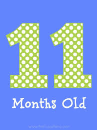 11 Months Baby Sign Baby Signs Baby Month By Month Baby Pictures
