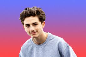Timothee Chalamet S Hair Has Been Through A Lot In 2018 Gq