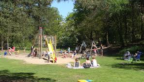 Maar we konden gelukkig nog wel terecht op het natuurveld van de camping. Camping Harskamperdennen Kootwijk Holland Tent