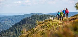 Der bärenpark schwarzwald ist ein tierschutzprojekt der stiftung für bären und gibt bären und wölfen aus schlechten haltungen ein naturnahes zuhause. Wanderreise Deutschland Schwarzwald Raus Aus Den Schluchten Rauf Auf Die Berge