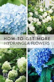 Pin On Bhg S Best Garden Ideas
