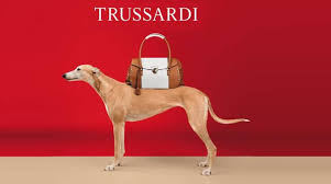 La pubblicazione di annunci per privati è gratuita. Trussardi La Casa Del Levriero Cede Il Guinzaglio Al Fondo Quattro R Bergamo News