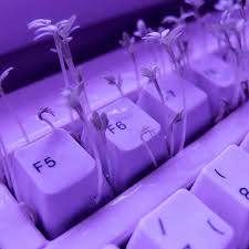 Your a person who runs everywhere, you like fresh mornings and lazy afternoons with the orange sun in your eyes. What S Your Aesthetic