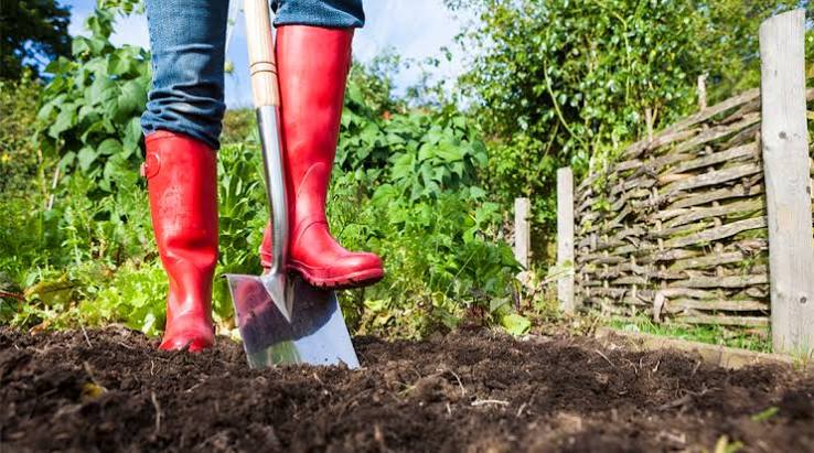 How To Dig Your Garden - Dr Earth