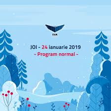 Maybe you would like to learn more about one of these? Fan Curier Sibiu Program