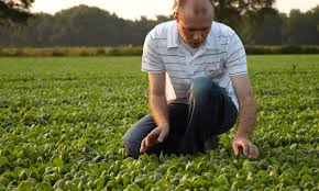 If using dried herbs in place of fresh, use 1/3 the amount. Bakker Barendrecht Greenyard Group