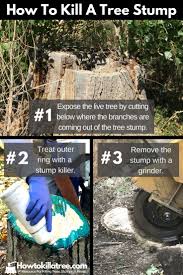 Pin On How To Kill A Tree Stump