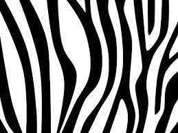 First, draw a zebra prints' stripes. How To Draw Zebra Stripes Zebra Art Zebra Decor Zebra