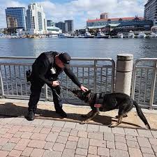 Image result for Stone Gray 2021 Responder