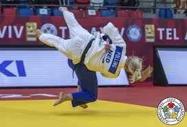 Ereburger matthias casse treedt aan in de container cup. Judoinside Sanne Van Dijke Judoka