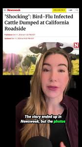 On October 8th, I visited Tulare County, California, where I found dead  cows that had succumbed to H5N1 avian influenza lying