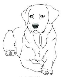 40+ black lab coloring pages for printing and coloring. Coloring Lab Dogs 35 Images Chocolate Lab Coloring Pages At Getcolorings Free Labrador Coloring Pages Labrador Retriever Coloring Page Free Printable Coloring