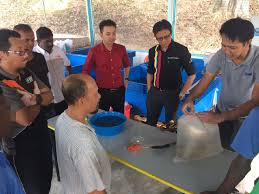 Pada tahun 1975 sebanyak 7 buah rumah baru untuk kakitangan telah dibina kerana bilangan pembantu kebajikan. Pelajar Tunas Bakti Hasilkan Benih Udang