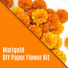 Birth Month Flower Grow Kit Instructions A More Durable Template That You Can Use Over And Over Again In 2020 Paper Flowers Paper Flower Patterns Paper Flower Template