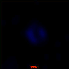 Maybe you would like to learn more about one of these? Supernova Gif Find On Gifer