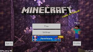Ip address, port and player statistic of top servers for minecraft. Bedrock Edition 1 17 10 Minecraft Wiki