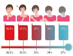 ultimate guide of checking body temperature thermopro