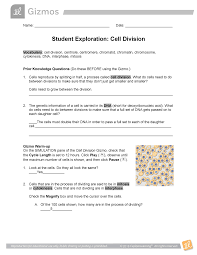 Some of the worksheets for this concept are student exploration stoichiometry gizmo answer key pdf, meiosis and mitosis answers work, honors biology ninth. Cell Division Gizmo 2021 Studocu