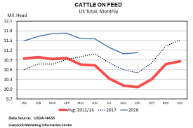 Big Cattle On Feed Inventory And Cattle Market Keys Moving