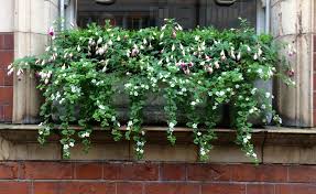It's awesome because it has a hidden reservoir in the bottom so i won't have to water the flowers as often. 31 Of The Best Window Boxes In London Architectural Digest