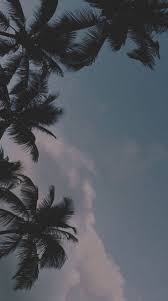 Get your aesthetic backgrounds today! Pin Oleh Alvaro Martinez Di Oboi Wallpaper Estetika Fotografi Alam Latar Belakang Estetika