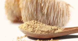 Organic Ground Lion's mane Mushroom Powder Wholesale - QIN SHAN TANG