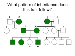 Genetics Pedigree Problems