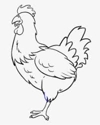 Simple rooster drawing for kids! Drawing Png Images Free Transparent Drawing Download Kindpng