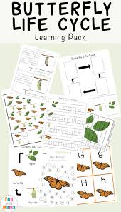 Help you students learn the fascinating story of the life cycle of a butterfly with this easy to follow activity! Butterfly Life Cycle Learning Pack Fun With Mama
