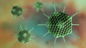 Adenovirus epidemic keratoconjunctivitis trufanov s.v., malozhen s.a., krakhmaleva d.a., pivin e.a. Adenovirus Type 5 Particles Wild Type The Native Antigen Company
