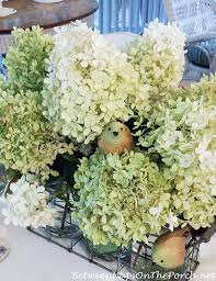 Aug 11, 2021 · hydrangea blossoms are large showy flowers in a variety of colors that range from blues to reds to purples and white to light green. The Easy Way To Dry Or Preserve Limelight Hydrangea Blossoms Between Naps On The Porch