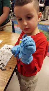 Owl pellet leads for 5th grade camp project