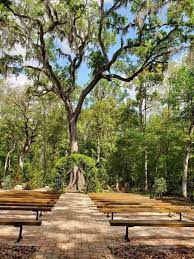 Saxon Manor Weddings And Shabby Chic Barn Tampa Bay Wedding Venue Brooksville Fl 34601 Tampa Bay Wedding Wedding Venues Smallest Wedding Venue