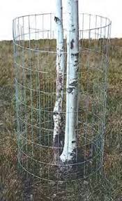 Made from galvanized material for durability Http Www Columbustelegram Com App Inserts 022817 Bomgaars Files Assets Common Downloads 022817 Bomgaars Pdf
