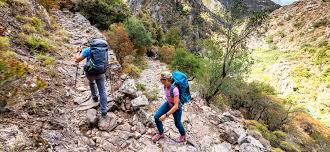 Thanks to osprey®'s revolutionary ag™ suspension, the atmos ag 50 pack keeps you on the trails longer. Osprey Atmos Ag 50 Men S Comfortable Trekking Backpack