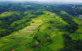  Pemandangan Sawah Yg Indah Pemandangan Gunung Dan Sawah Yg Indah Pemandangan Sawah Yg Indahhttp Kumpulangambarhade Blogspot C Pemandangan Budaya Dunia Gambar