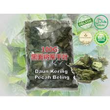 Daun pecah pecah in english. 100g Organic Teh Herbal Daun Pecah Beling Keringé»'é¢å°†å†›å¹²å¶ Shopee Malaysia